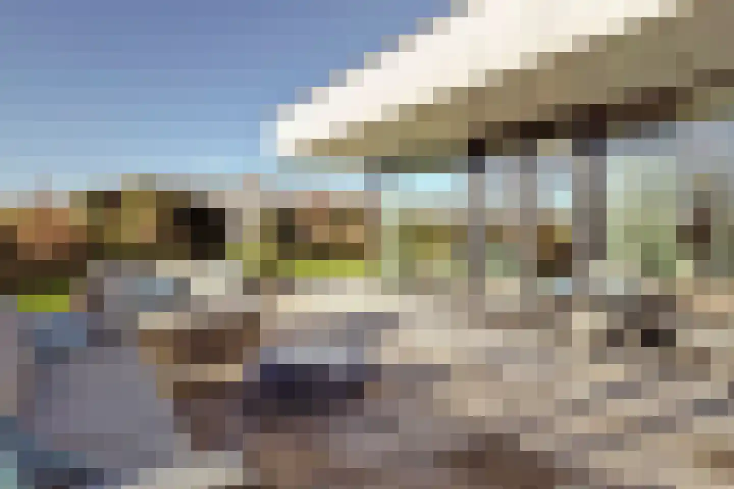 Duinvallei 37 Kamperland thumbnail 44