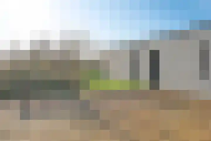 Duinvallei 37 Kamperland thumbnail 45