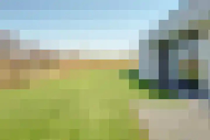 Duinvallei 37 Kamperland thumbnail 46