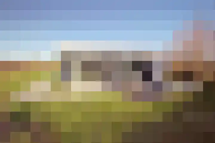 Duinvallei 37 Kamperland thumbnail 47