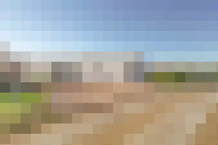 Duinvallei 37 Kamperland thumbnail 5