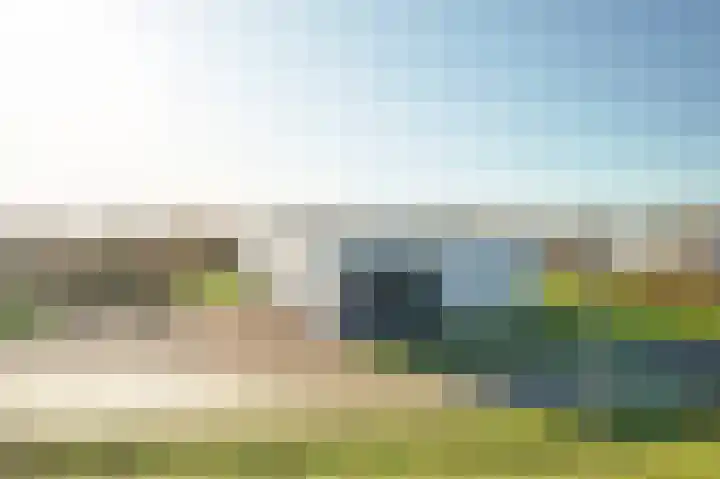 Duinvallei 37 Kamperland thumbnail 7