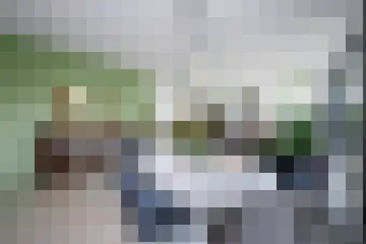Duinvallei 66 Den Haag thumbnail 10