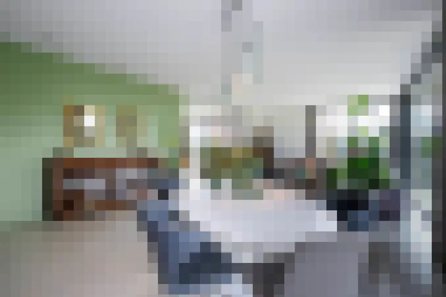 Duinvallei 66 Den Haag thumbnail 12