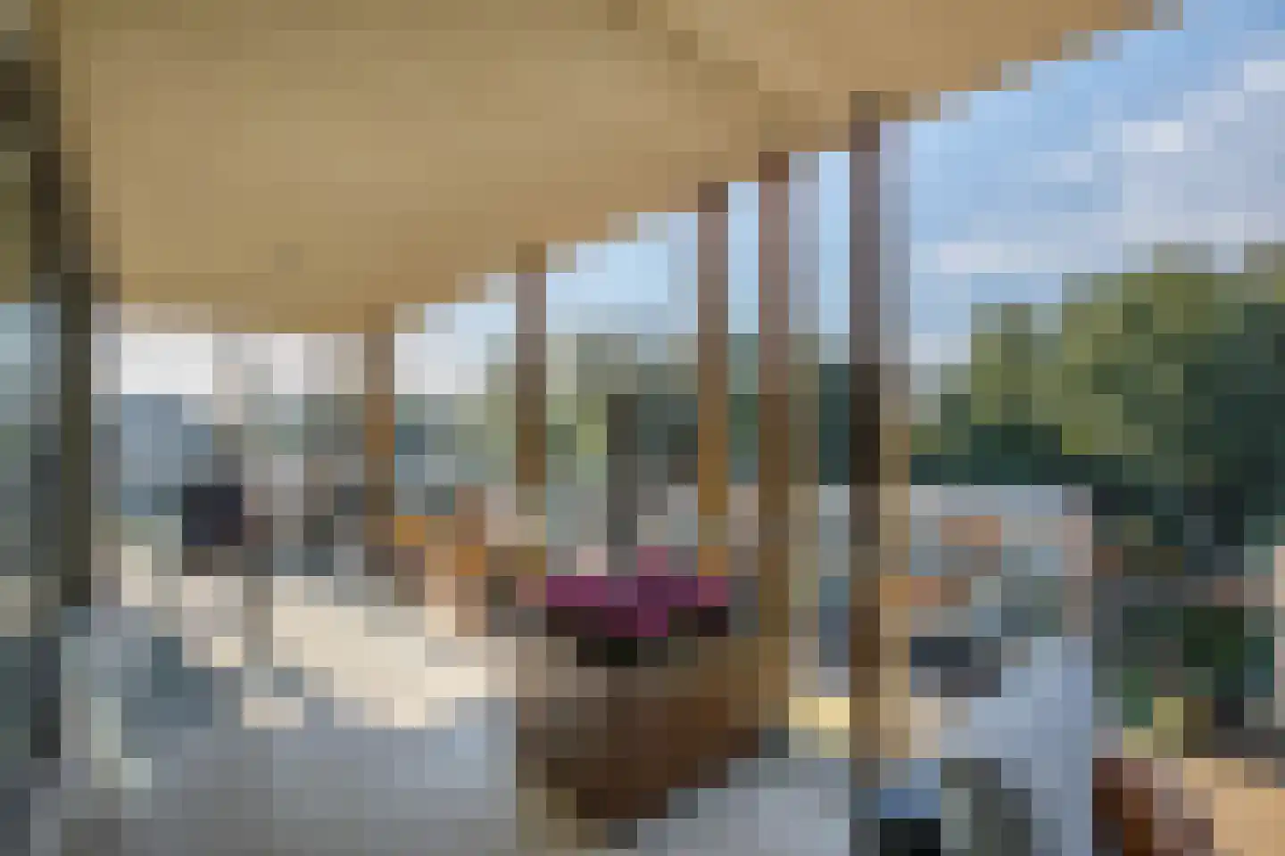 Duinvallei 66 Den Haag thumbnail 34