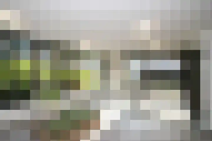 Duinvallei 66 Den Haag thumbnail 43