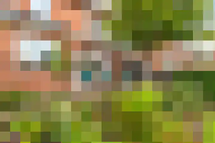 Duinvlietstraat 10 Velsen-Noord thumbnail 37