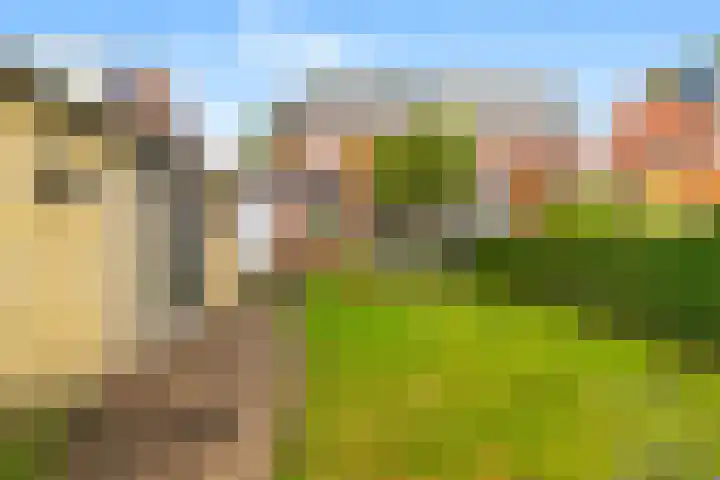Duinvlietstraat 10 Velsen-Noord thumbnail 5
