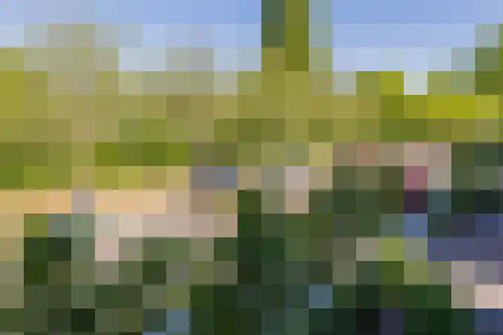 Duinvlietstraat 2 A Velsen-Noord thumbnail 60