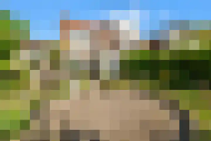 Duinvlietstraat 6 Velsen-Noord thumbnail 28