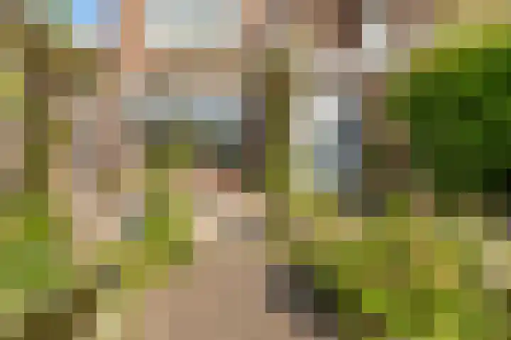 Duinvlietstraat 6 Velsen-Noord thumbnail 30