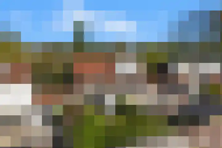 Duinvlietstraat 6 Velsen-Noord thumbnail 34