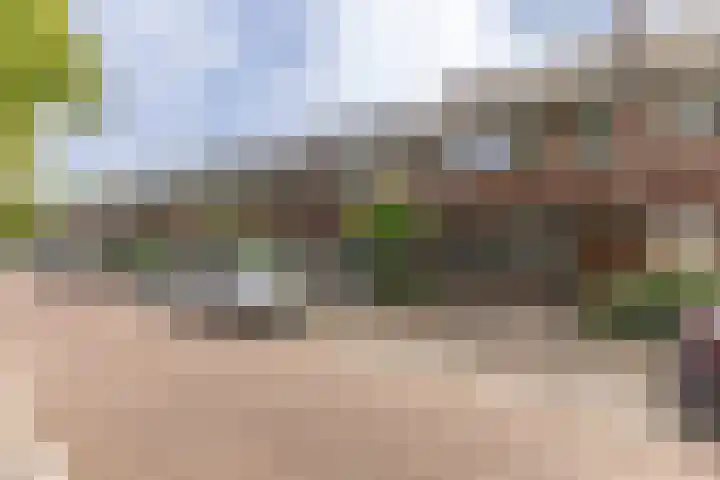 Duinvlietstraat 66 Velsen-Noord thumbnail 31