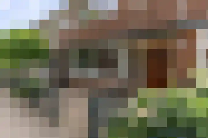 Duinvlietstraat 66 Velsen-Noord thumbnail 37