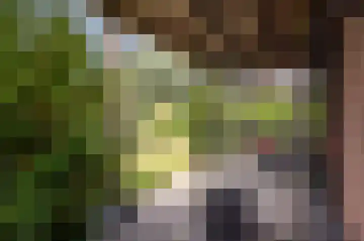 Duinvoet 46 Lelystad thumbnail 33