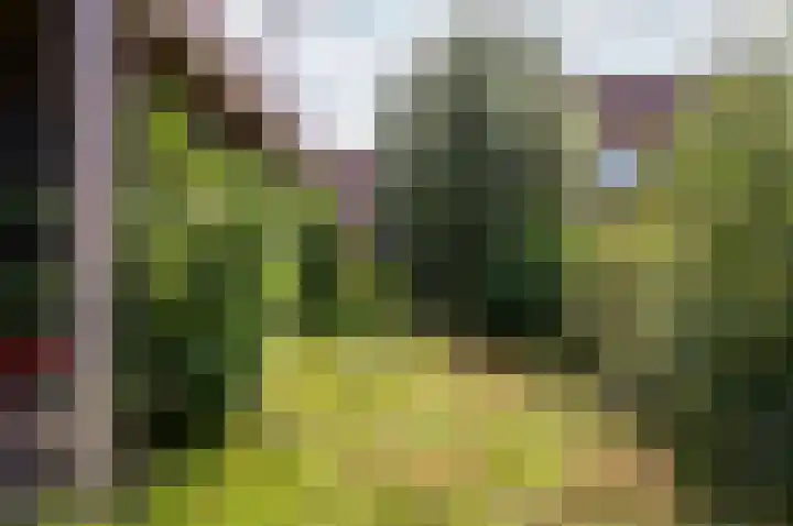 Duinvoet 46 Lelystad thumbnail 35
