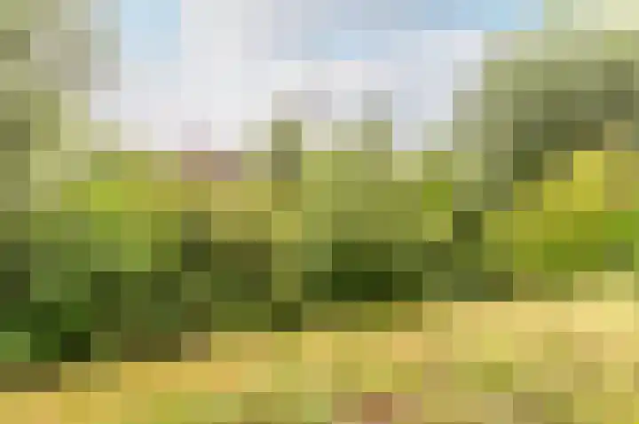 Duinvoet 46 Lelystad thumbnail 36