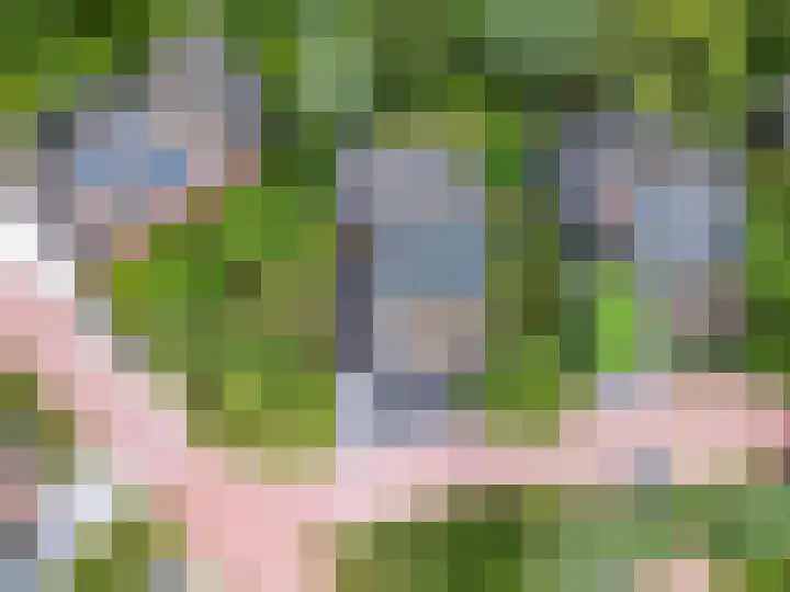 Duinvoet 46 Lelystad thumbnail 4