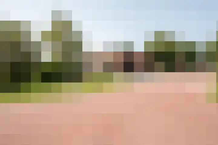 Duinvoet 46 Lelystad thumbnail 41