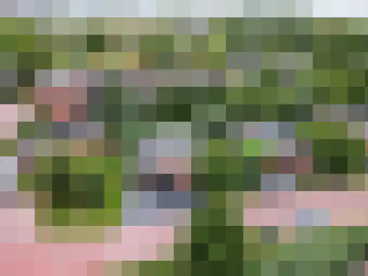 Duinvoet 46 Lelystad thumbnail 43