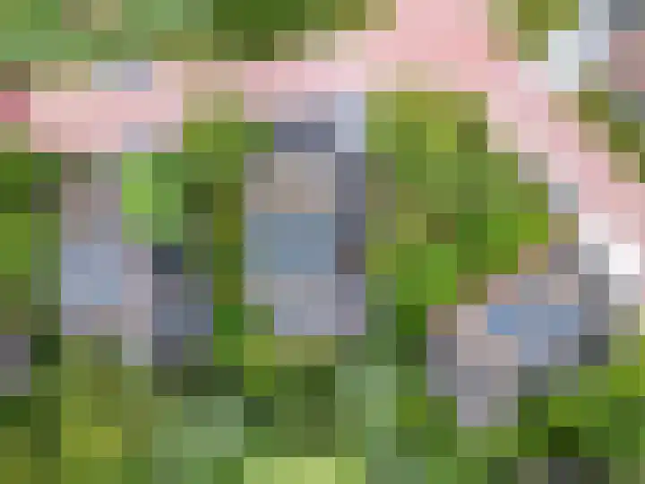 Duinvoet 46 Lelystad thumbnail 44