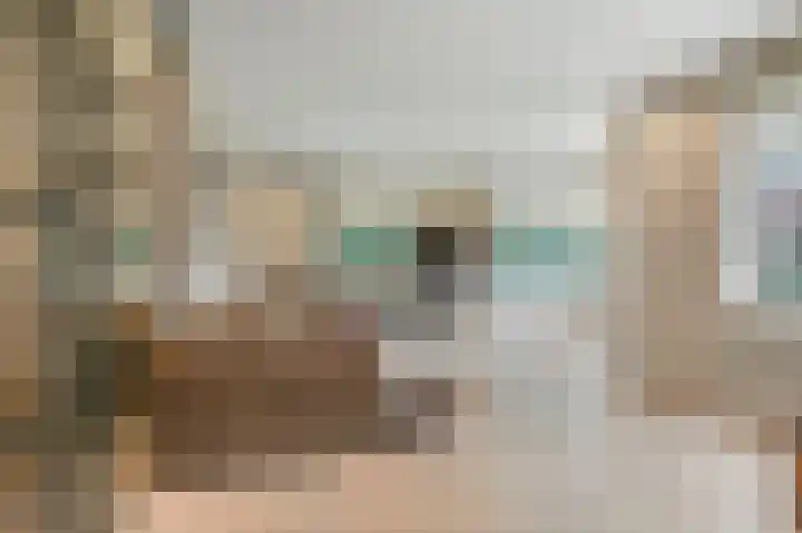 Duinvoetlaan 10 Wassenaar thumbnail 11