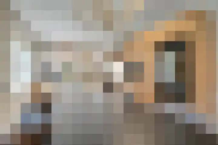 Duinvoetlaan 10 Wassenaar thumbnail 23