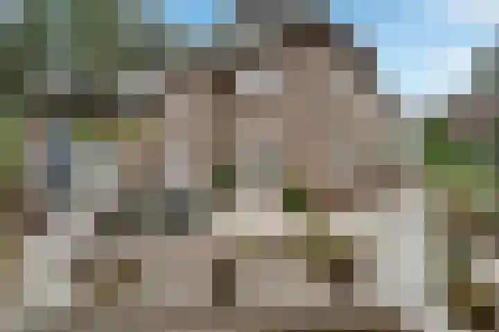 Duinvoetlaan 10 Wassenaar thumbnail 4
