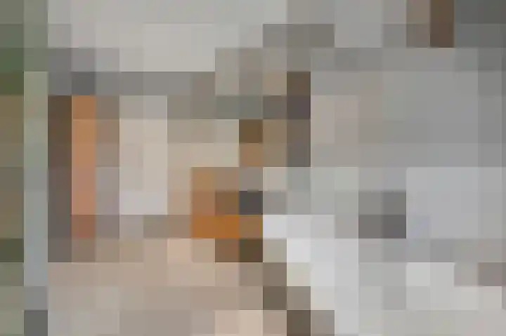 Duinvoetlaan 10 Wassenaar thumbnail 42