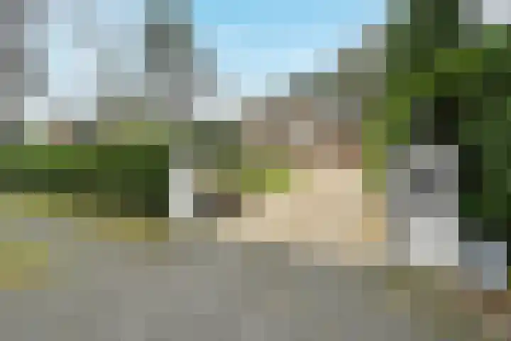 Duinvoetlaan 10 Wassenaar thumbnail 5