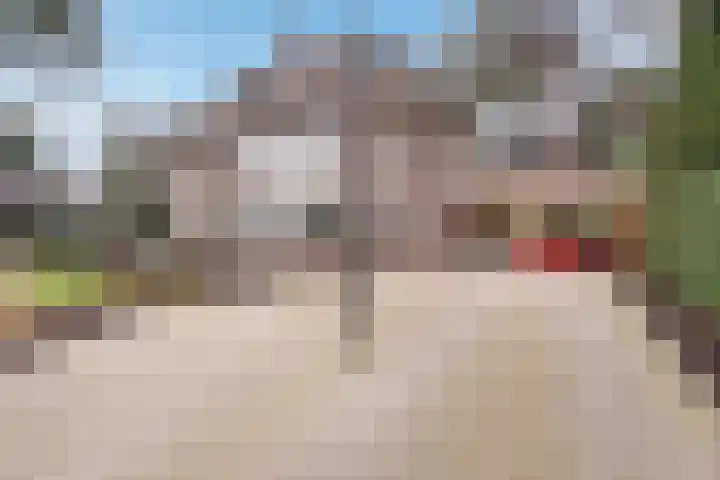Duinvoetlaan 10 Wassenaar thumbnail 6