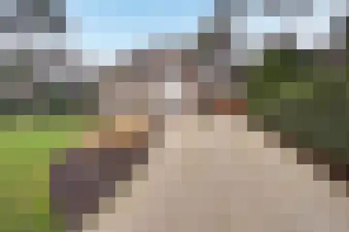 Duinvoetlaan 10 Wassenaar thumbnail 64