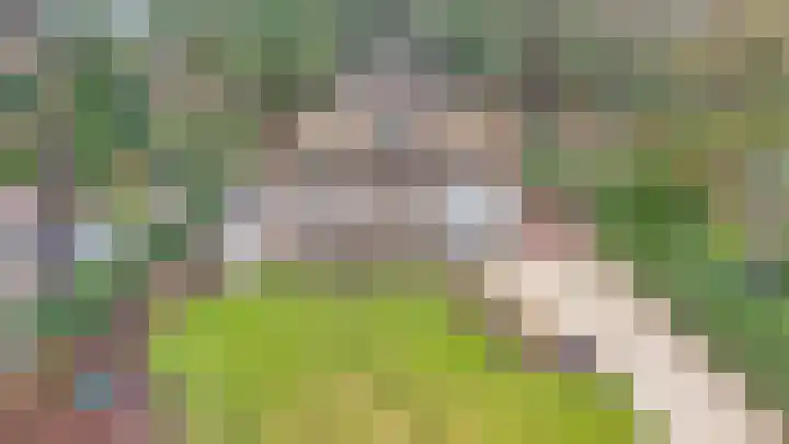 Duinvoetlaan 10 Wassenaar thumbnail 67