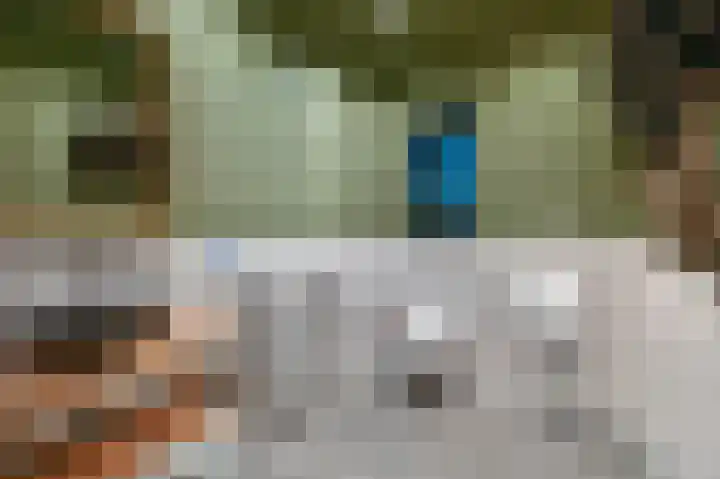 Duinvoetlaan 10 Wassenaar thumbnail 8