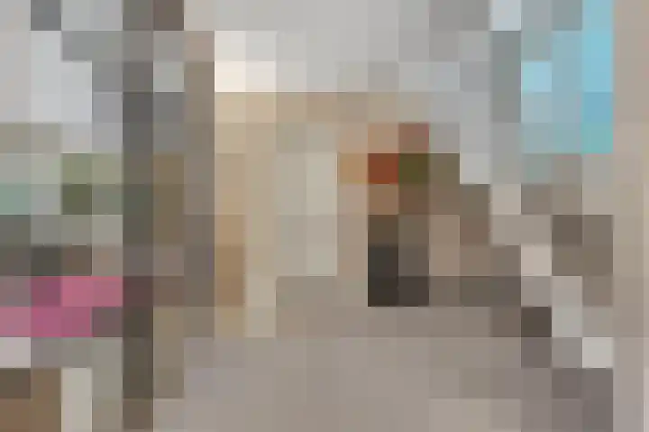 Duinvoetlaan 10 Wassenaar thumbnail 9