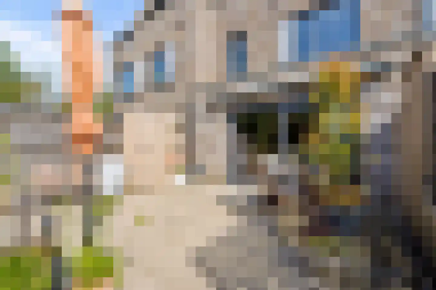 Duinvoetstraat 18 Almere thumbnail 63