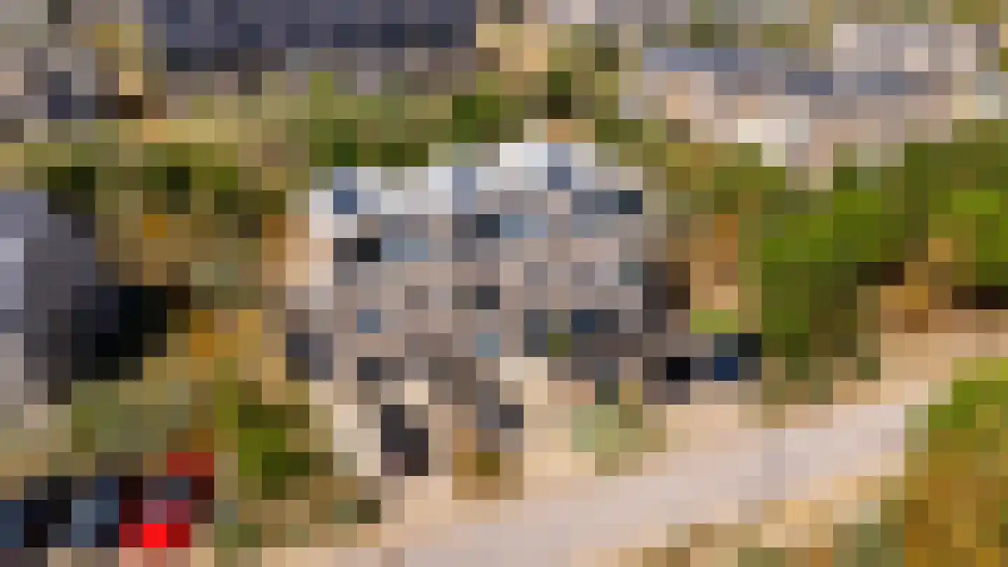 Duinvoetstraat 18 Almere thumbnail 69