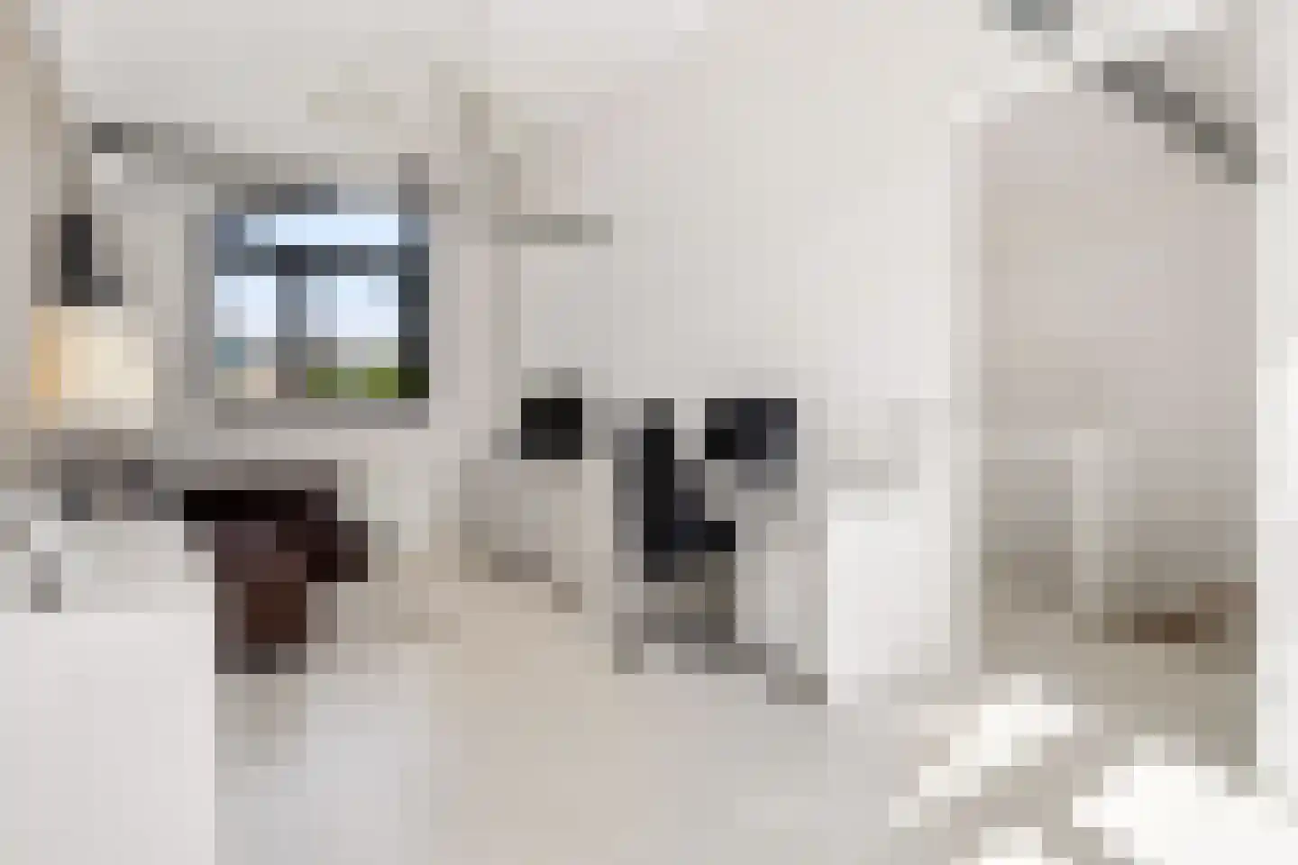 Duinvoetstraat 27 Almere thumbnail 34