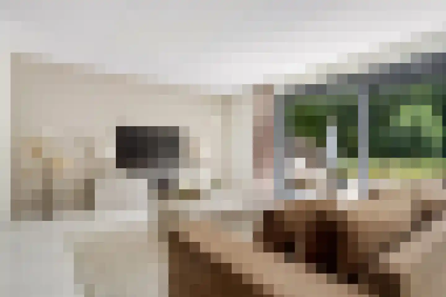 Duinvoetstraat 27 Almere thumbnail 5