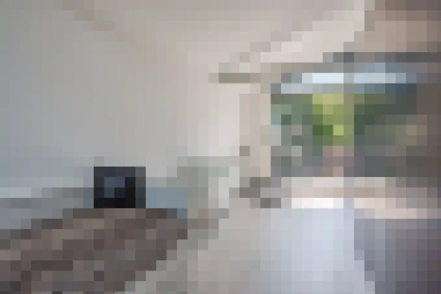 Duinvoetstraat 29 Almere thumbnail 42