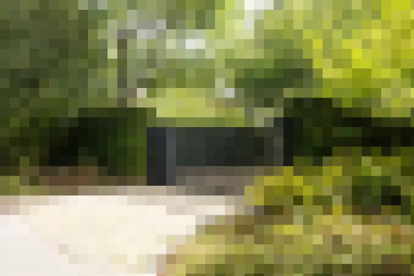 Duinweg 1 S Bergen (NH) thumbnail 5