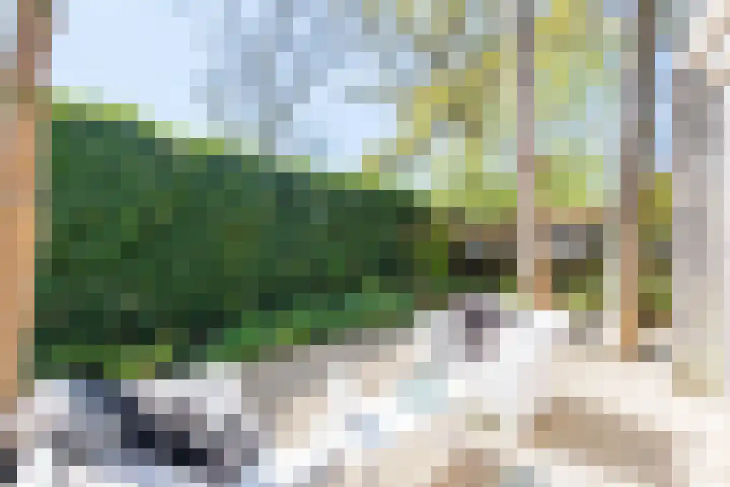 Duinweg 1 S Bergen (NH) thumbnail 62