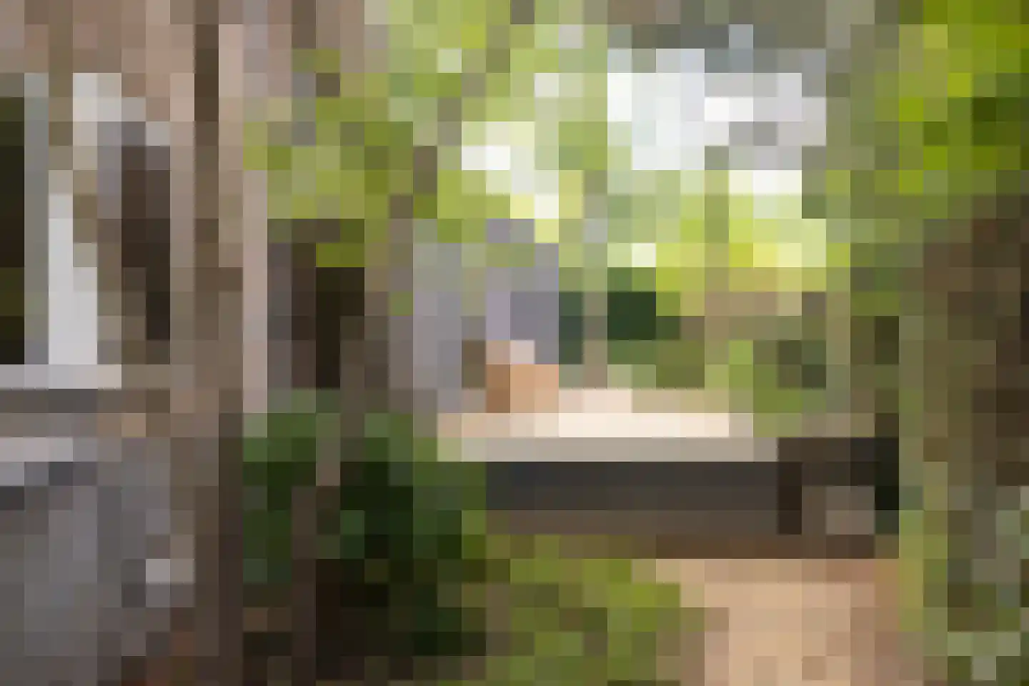 Duinweg 1 S Bergen (NH) thumbnail 63