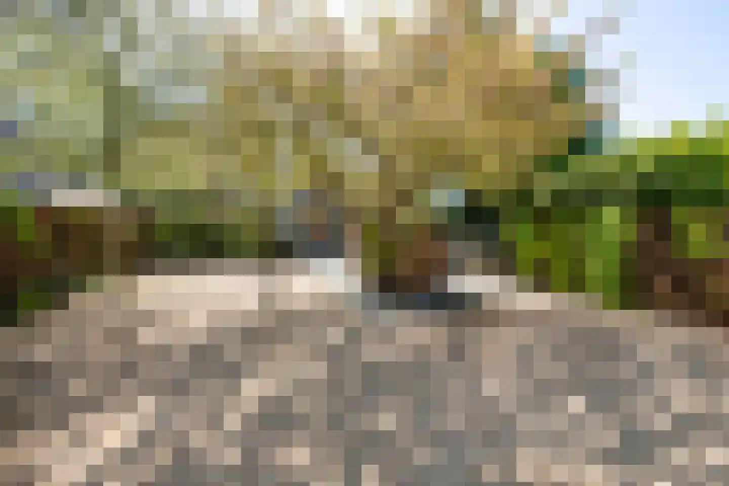 Duinweg 1 S Bergen (NH) thumbnail 67
