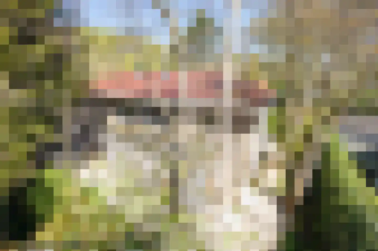 Duinweg 1 S Bergen (NH) thumbnail 68