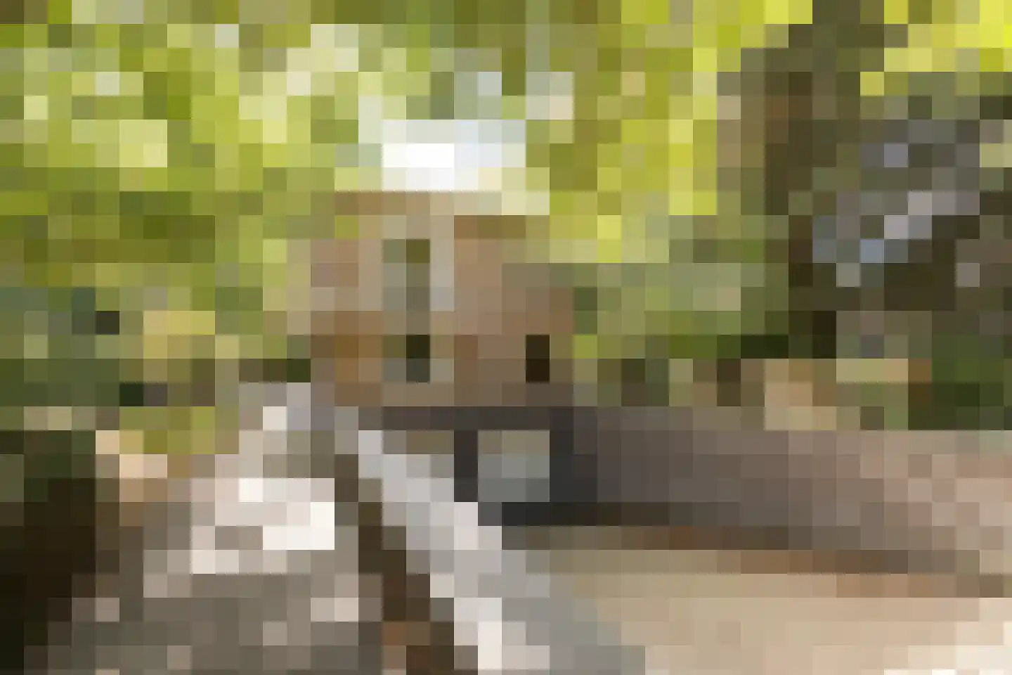 Duinweg 1 S Bergen (NH) thumbnail 8