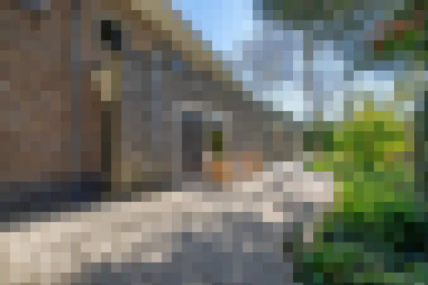 Duinweg 1 S Bergen (NH) thumbnail 82