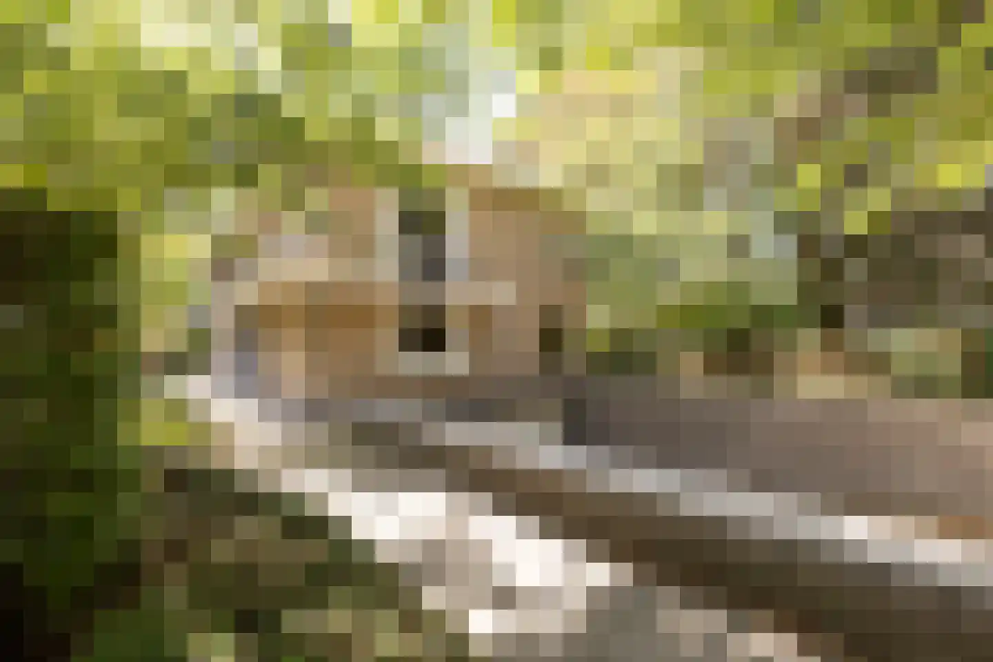 Duinweg 1 S Bergen (NH) thumbnail 9