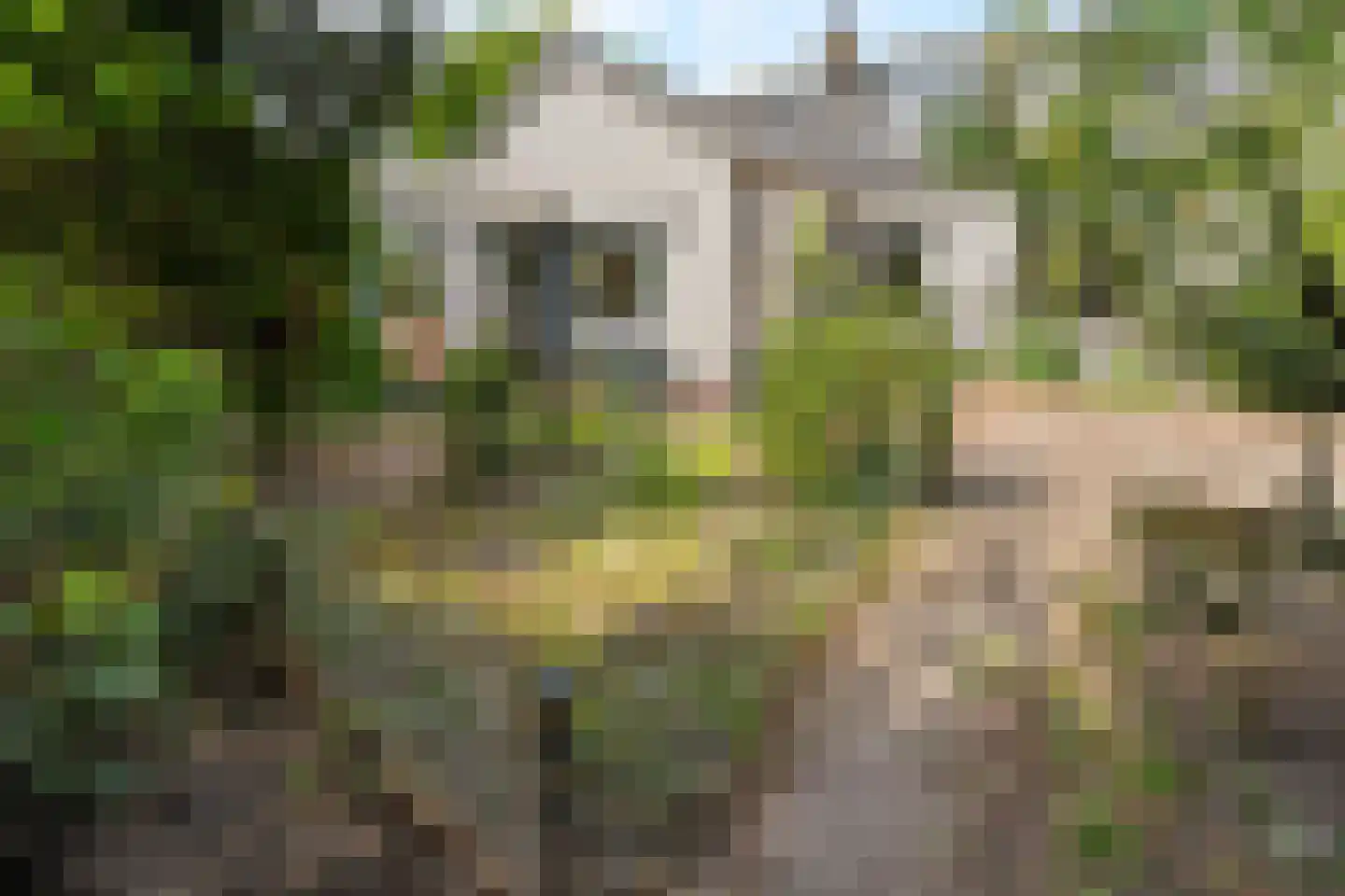 Duinweg 100 Noordwijk thumbnail 16
