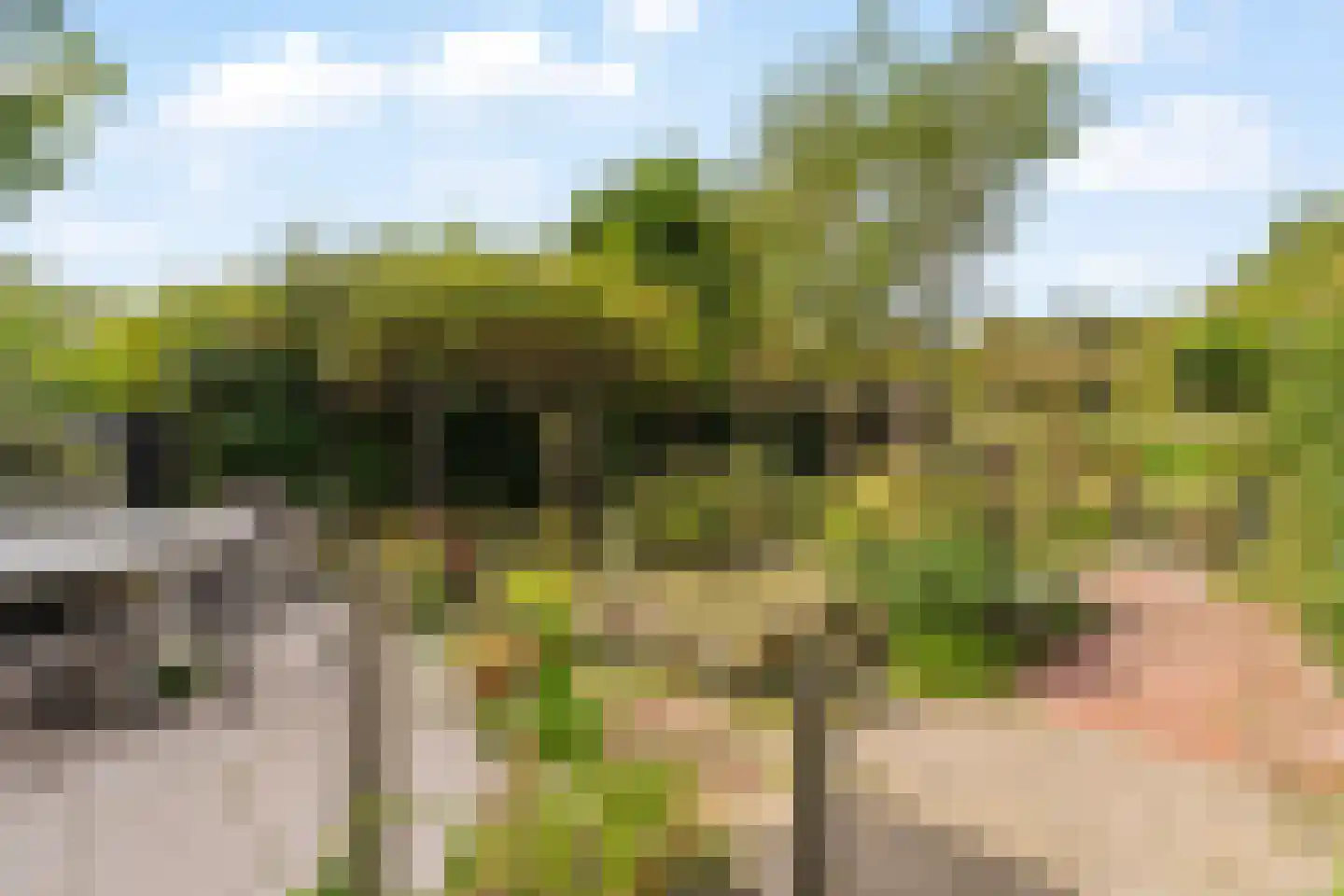 Duinweg 100 Noordwijk thumbnail 17